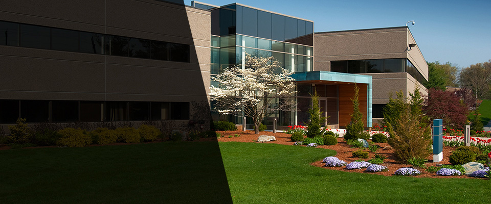 Natick Landscapers